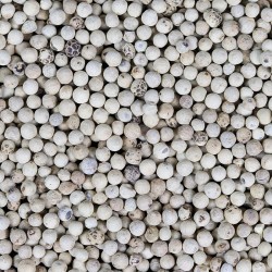 POIVRE BLANC en Grains Entiers