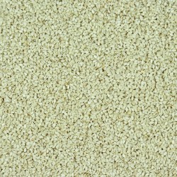 Graines de SÉSAME BLANC Entières