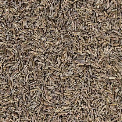 Carvi en Graines