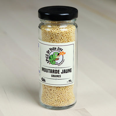 Moutarde Jaune en Graines