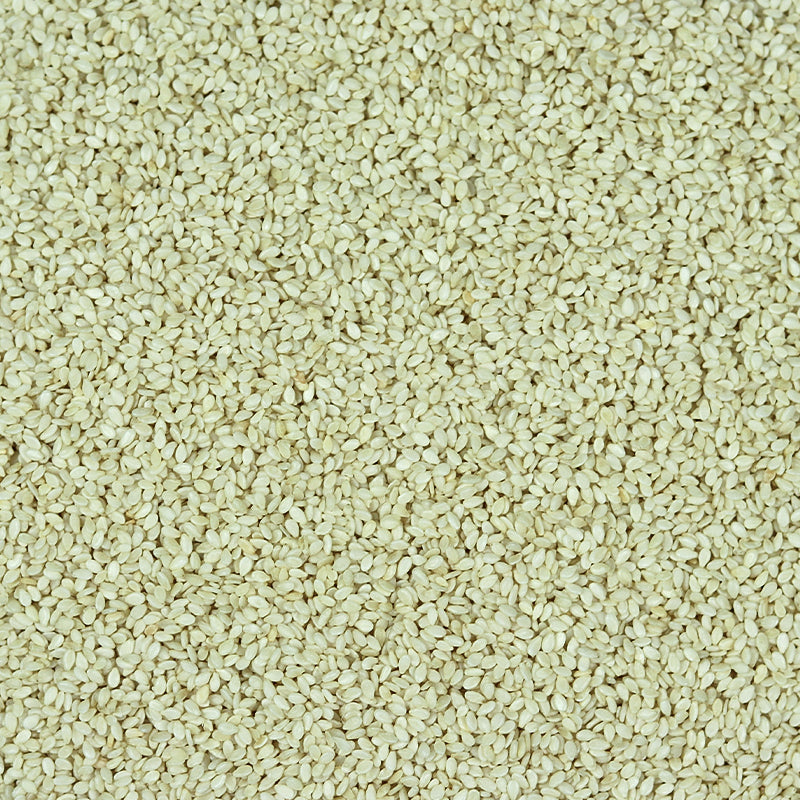 Sésame Blanc