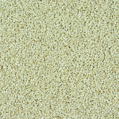 Sésame Blanc