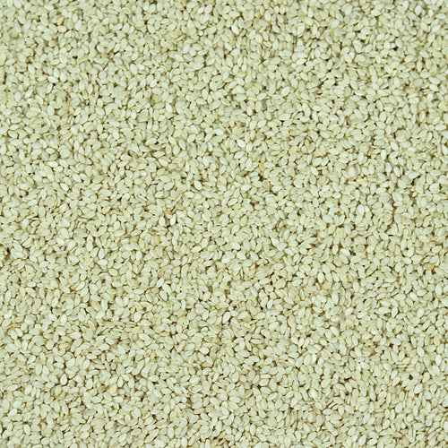Sésame Blanc