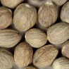 NOIX DE MUSCADE Entière